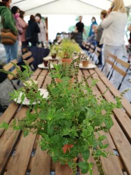 Medgeneracijske delavnice v Kačičah 5